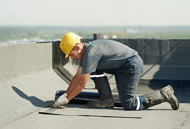 Best Insulation Installation Services in Crescent City, FL